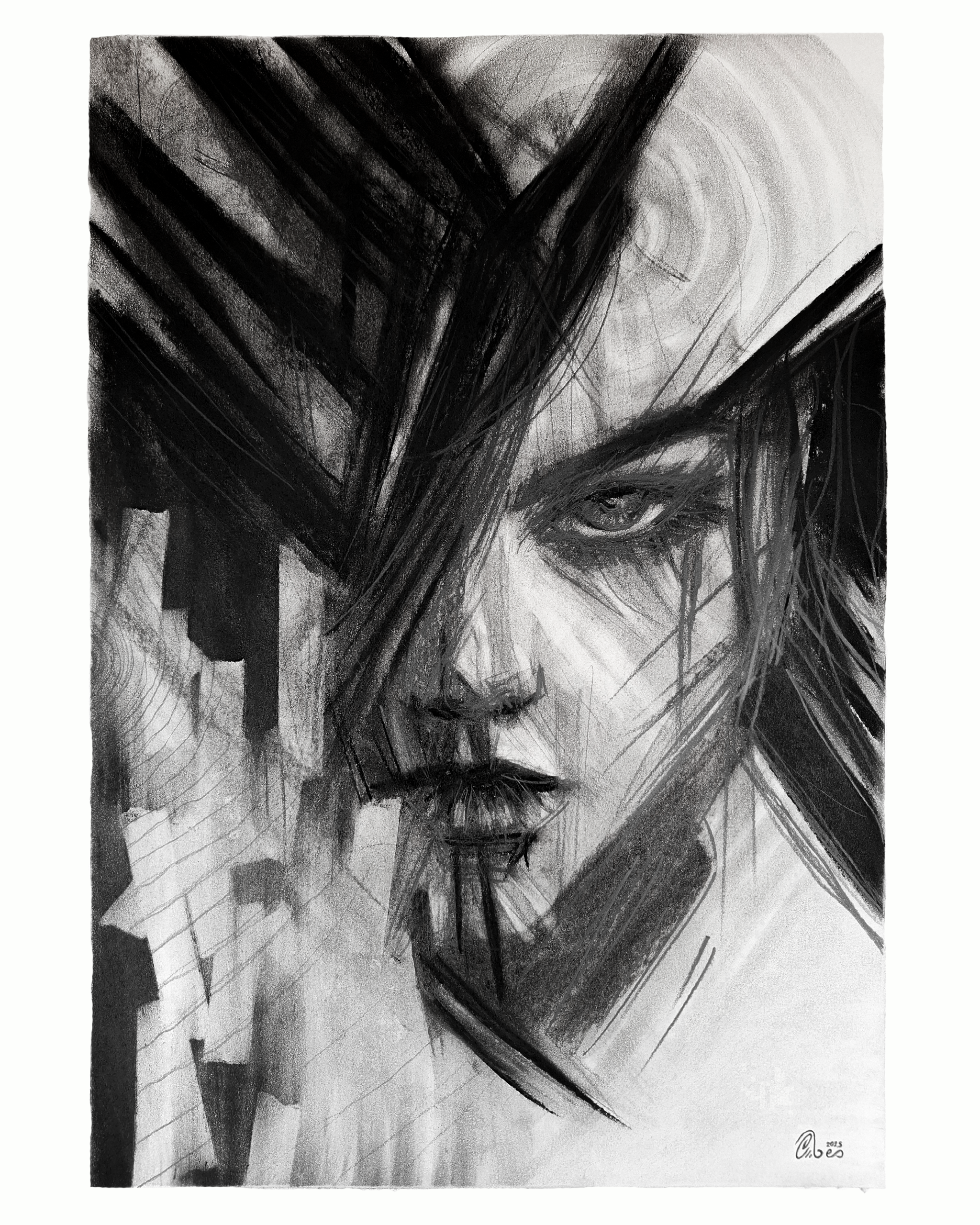 Sharpened Gaze | Original Drawing