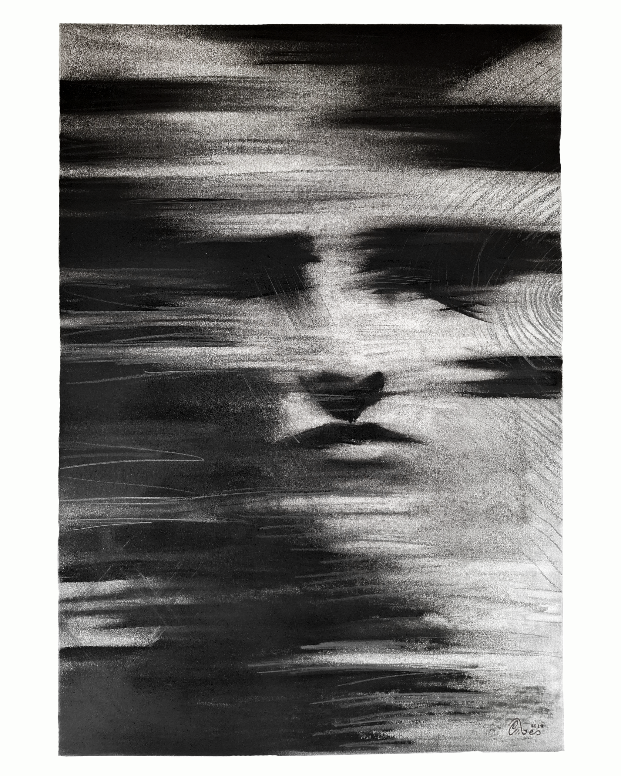 Vestige | Original Drawing