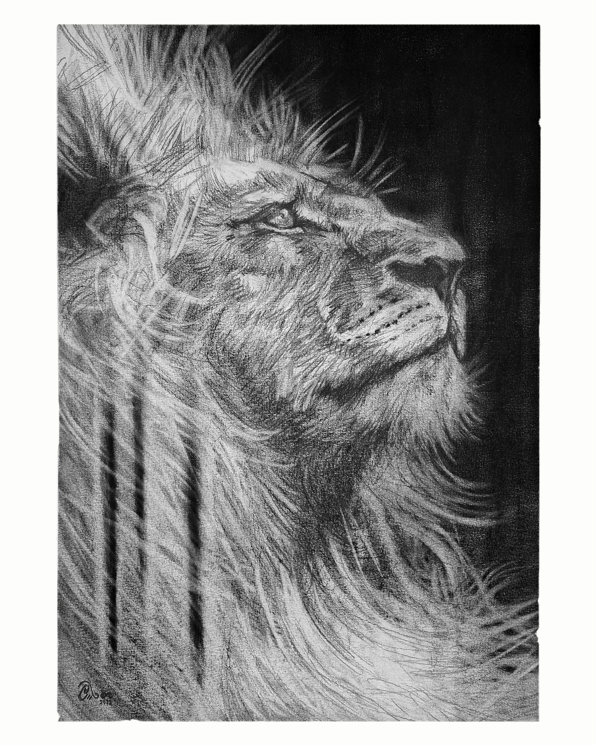 A King's Becoming | Original Drawing