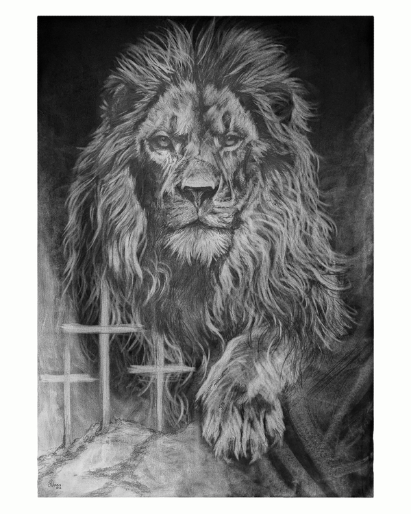 Beyond the Veil | Original Drawing