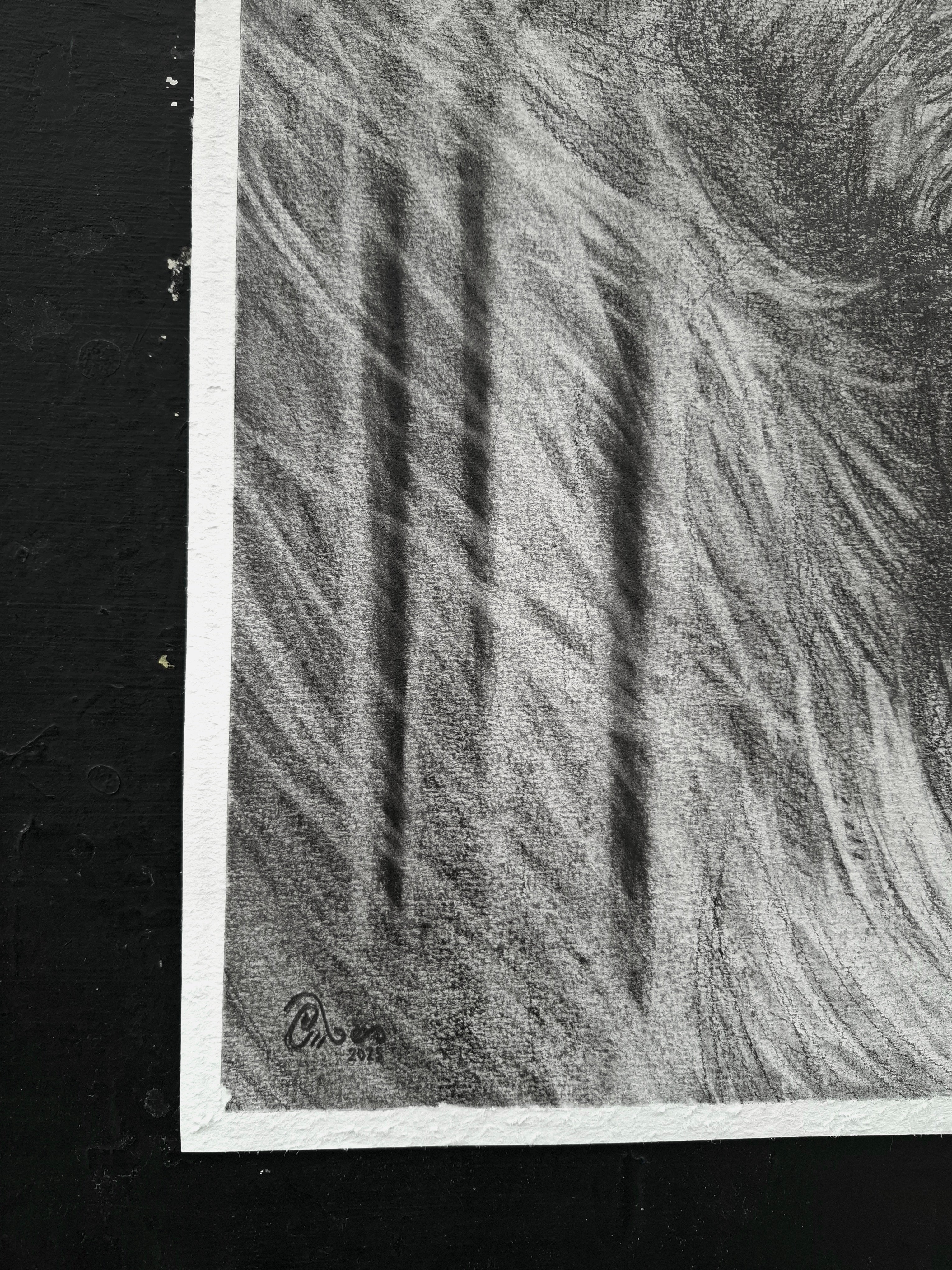 A King's Becoming | Original Drawing