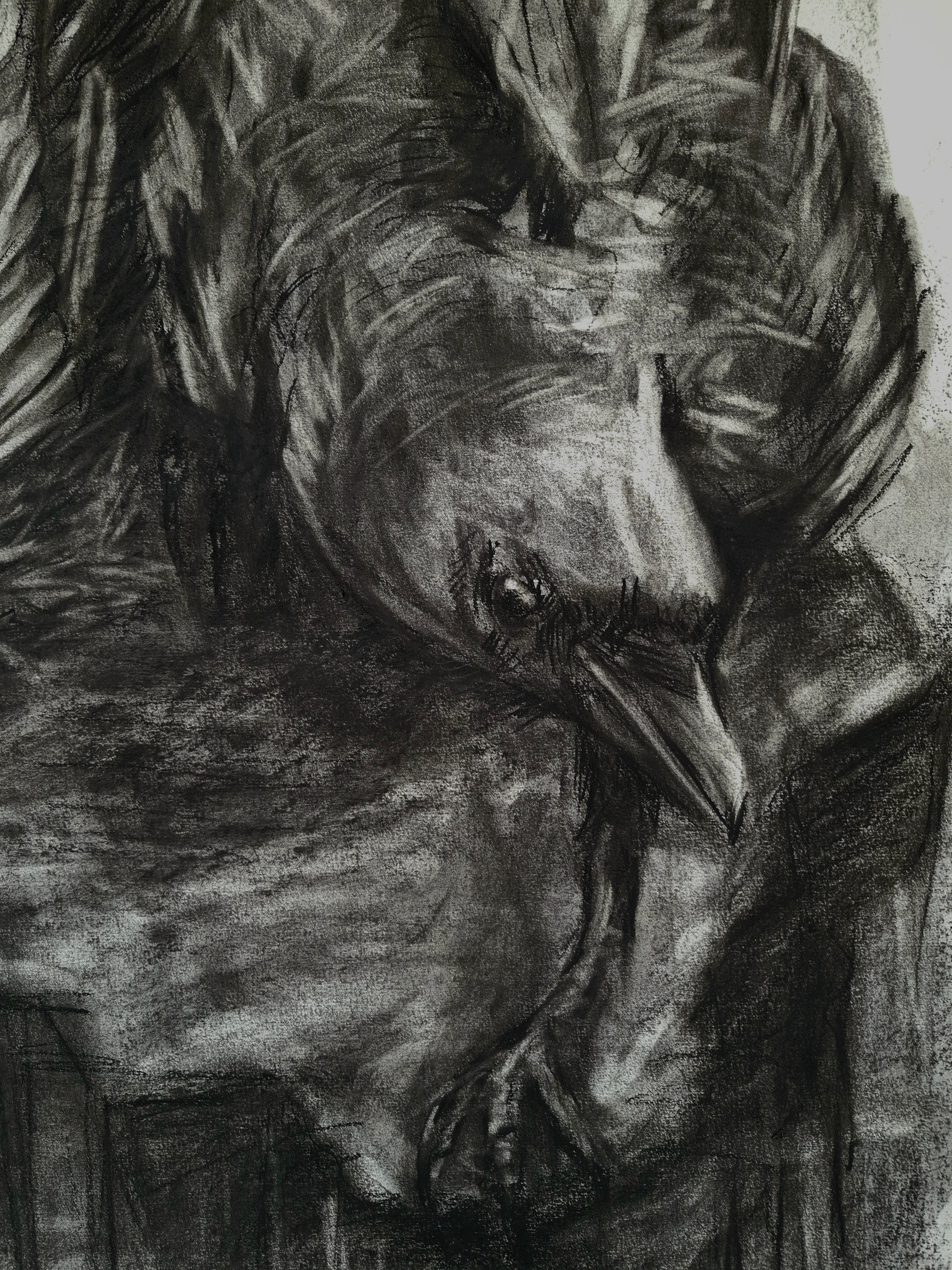 Learn To Fly | Original Drawing