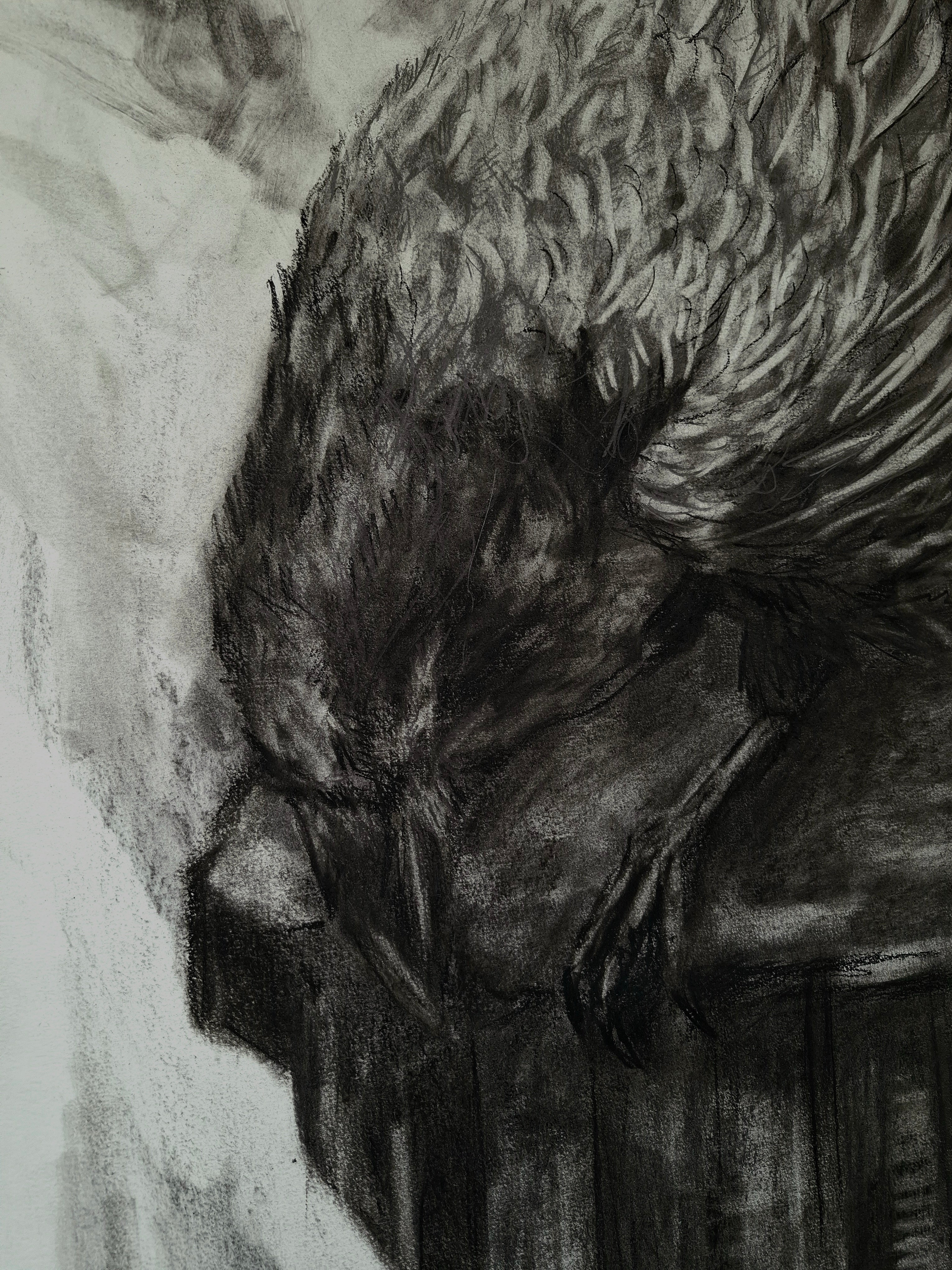 Learn To Fly | Original Drawing