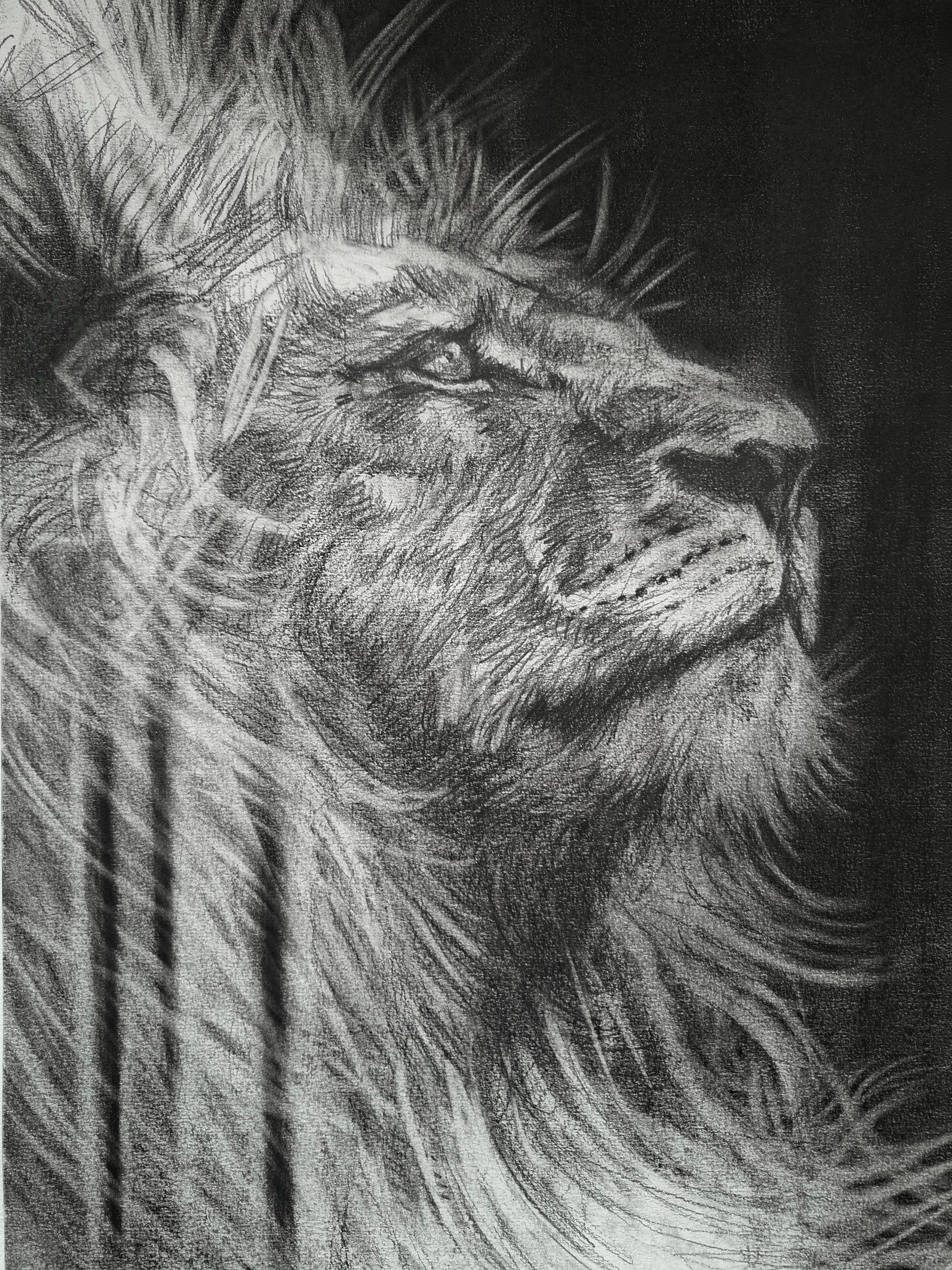 A King's Becoming | Original Drawing